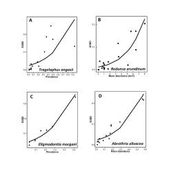 Searching for common patterns in parasite ecology: species and host contributions to beta-diversity in helminths of South African ungulates and fleas of South American rodents