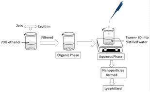 Evaluation of the anti-depressant potential of EGCG-loaded nanoparticles in unstressed and stressed mice