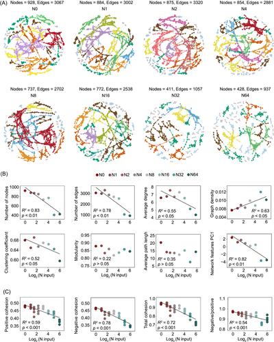 Long-term nitrogen input reduces soil bacterial network complexity by shifts in life history strategy in temperate grassland