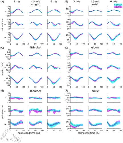 Application of a novel deep learning–based 3D videography workflow to bat flight