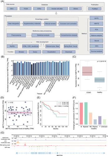 GutUDB: A comprehensive multiomics database for intestinal diseases