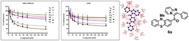 Design, synthesis, molecular docking and anti-proliferative activity of novel phenothiazine containing imidazo[1,2-a]pyridine derivatives against MARK4 protein†