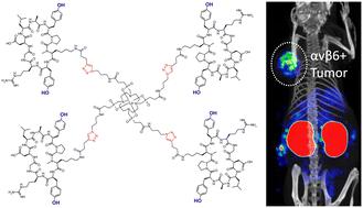 The importance of tyrosines in multimers of cyclic RGD nonapeptides: towards αvβ6-integrin targeted radiotherapeutics†