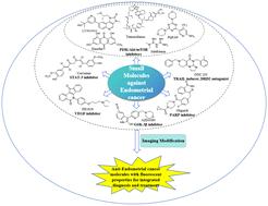 Small molecule targeted therapies for endometrial cancer: progress, challenges, and opportunities