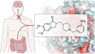 Amine-containing donepezil analogues as potent acetylcholinesterase inhibitors with increased polarity†