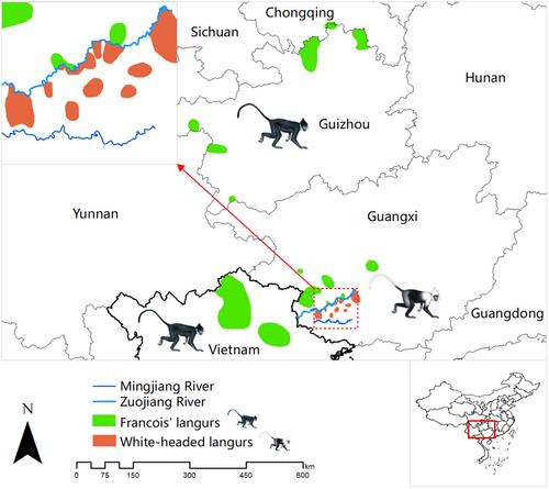 Climate and anthropogenic activities threaten two langur species irrespective of their range size