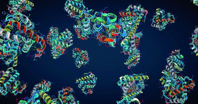 Early insights into co-translational assembly of protein complexes