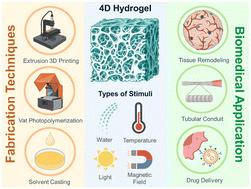 4D hydrogels: fabrication strategies, stimulation mechanisms, and biomedical applications