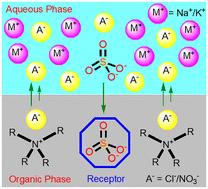 A molecular-design approach for selective sulfate separation from competitive acidic and alkaline aqueous media