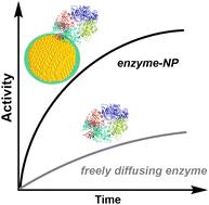 Enhancing enzymatic activity with nanoparticle display – an updated compendium and engineering outlook