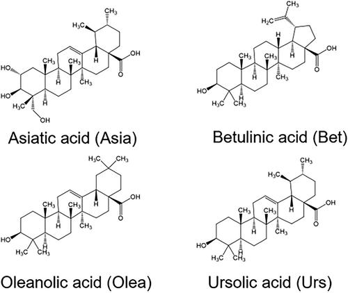 Betulinic acid ameliorates cast-immobilized skeletal muscle atrophy but not denervation-induced skeletal muscle atrophy