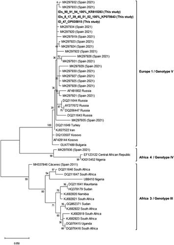 Crimean–Congo haemorrhagic fever virus in questing non-Hyalomma spp. ticks in Northwest Spain, 2021