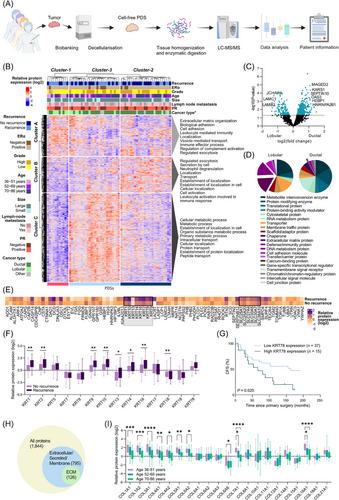 Proteomics of cell-free breast cancer scaffolds identify clinically relevant imprinted proteins and cancer-progressing properties