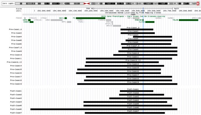 Exploring inheritance, and clinical penetrance of distal Xq28 duplication syndrome: insights from 47 new unpublished cases