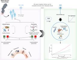 Lifestyle and genetic risk of chronic liver disease in metabolically healthy and unhealthy individuals from the general population