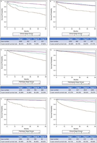 Critical updates in neuroendocrine tumors: Version 9 American Joint Committee on Cancer staging system for gastroenteropancreatic neuroendocrine tumors