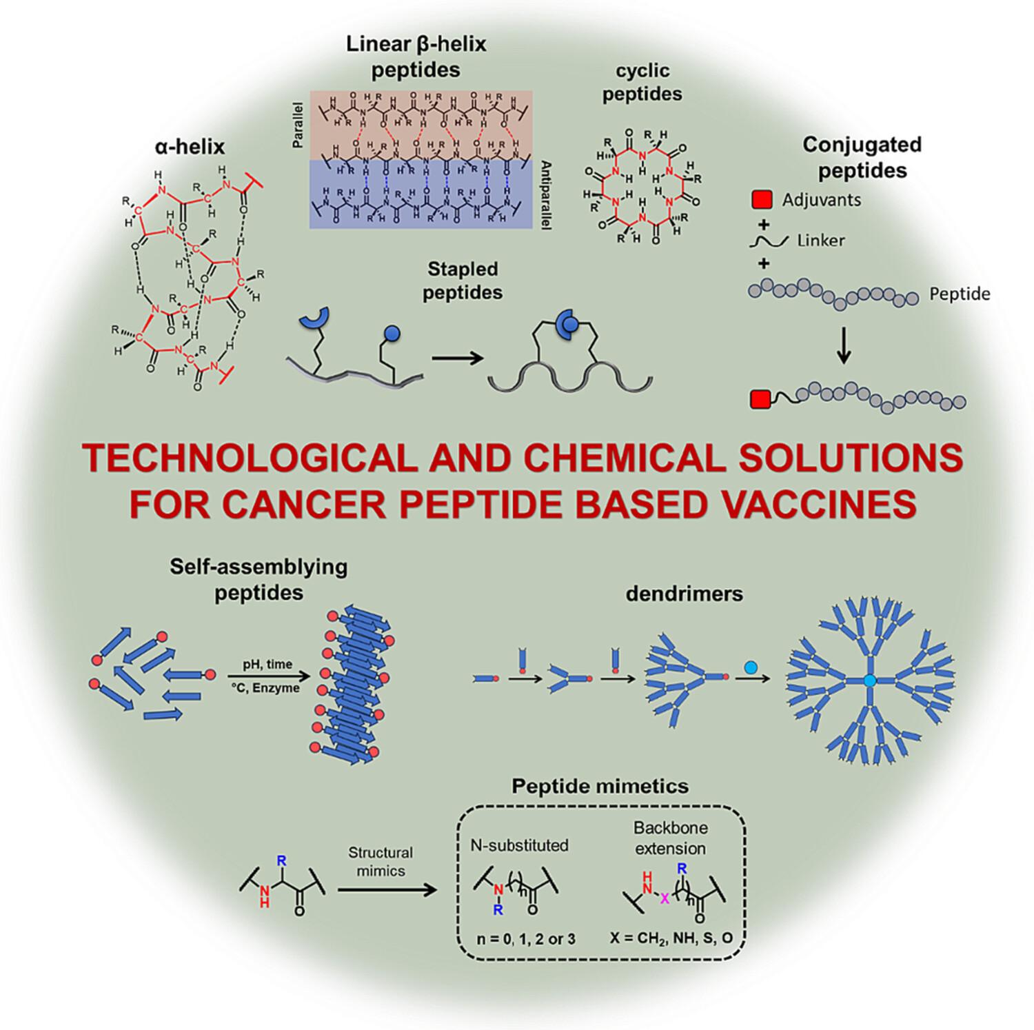 The bright side of chemistry: Exploring synthetic peptide-based anticancer vaccines