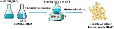 Mechanochemical synthesis of zinc-doped hydroxyapatite for tunable micronutrient release†