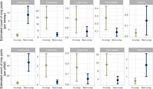 Contrasting late season pest insect abundance in non-crop vegetation areas and nearby canola fields in the Canadian Prairies