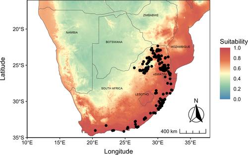 Predicted impact, establishment and distribution of Heikertingerella sp. (Coleoptera, Chrysomelidae), recently released for the biological control of Tecoma stans in South Africa
      Impacto, establecimiento y distribución previstos de Heikertingerella sp. (Coleoptera, Chrysomelidae), liberado recientemente para el control biológico de Tecoma stans en Sudáfrica