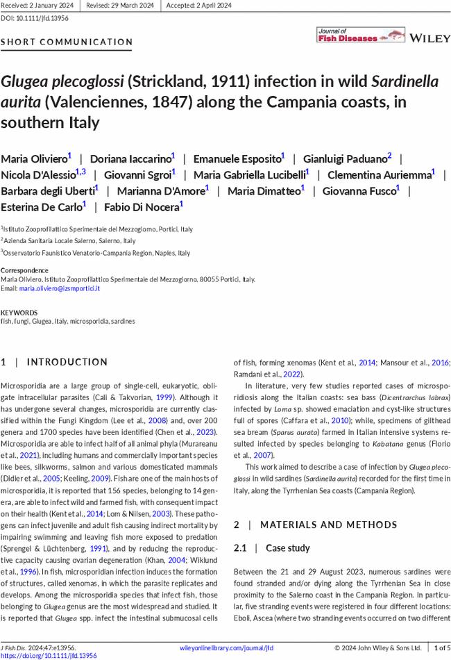 Glugea plecoglossi (Strickland, 1911) infection in wild Sardinella aurita (Valenciennes, 1847) along the Campania coasts, in southern Italy