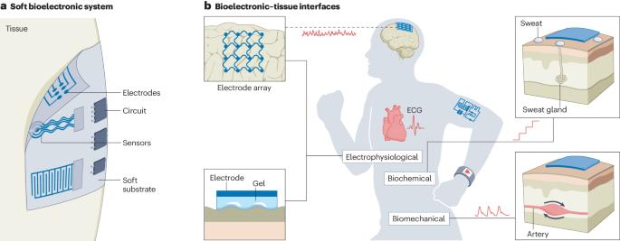 Motion artefact management for soft bioelectronics