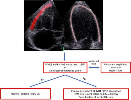 Prognostic significance of echocardiographic deformation imaging in adult congenital heart disease