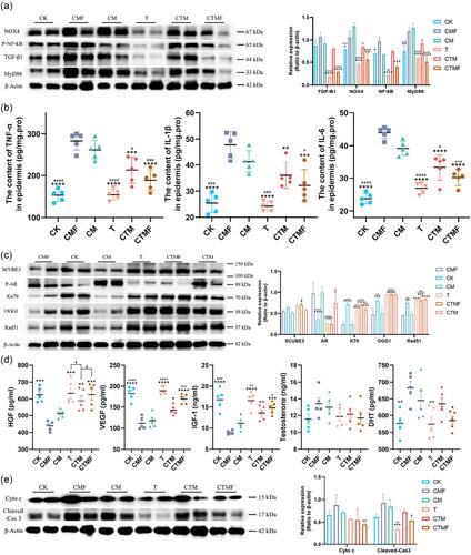 Pu-erh tea reduces the transmission of CRD-mediated alopecia risk to offspring