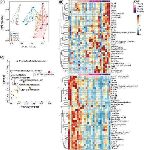 Dysbiosis of intestinal microbiota and metabolism caused by acute patulin exposure in mice