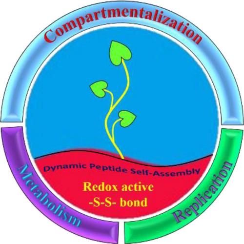 Cysteine-Based Dynamic Self-Assembly and Their Importance in the Origins of Life