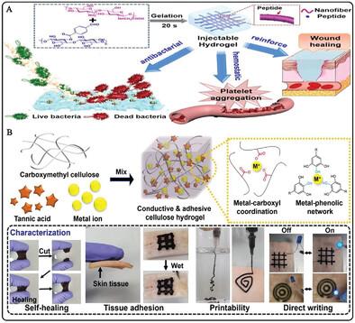 Injectable Hydrogels: A Paradigm Tailored with Design, Characterization, and Multifaceted Approaches