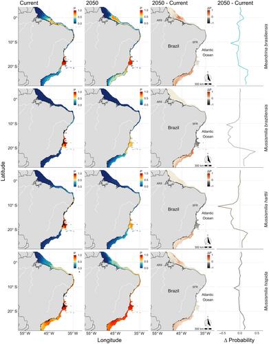 Projected climate-driven shifts in coral distribution indicate tropicalisation of Southwestern Atlantic reefs