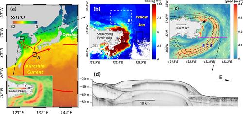 Recent warming of the Kuroshio Current has promoted offshore sediment transport in the Yellow Sea