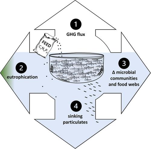 The aquaculture industry as a global network of perturbation experiments