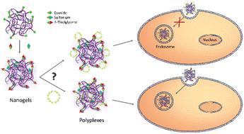 Post-polymerization functionalized sulfonium nanogels for gene delivery†