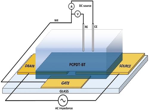 Charge-Transfer Complexes: Halogen-Doped Anthracene as a Case of Study