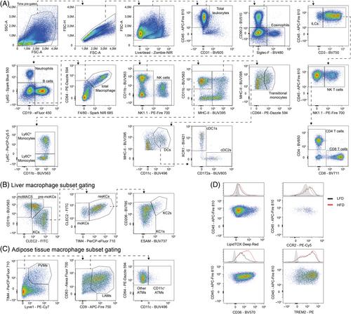 OMIP-104: A 30-color spectral flow cytometry panel for comprehensive analysis of immune cell composition and macrophage subsets in mouse metabolic organs