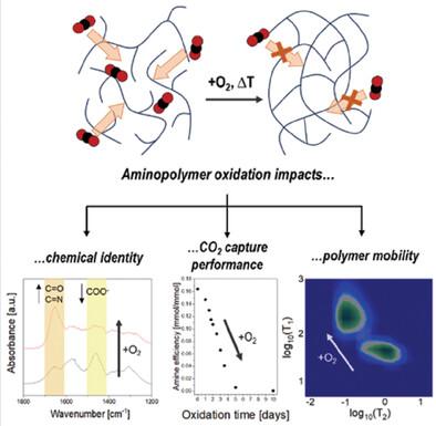 Oxidation of Supported Amines for CO2 Direct Air Capture: Assessing Impact on Physical Properties and Mobility via NMR Relaxometry