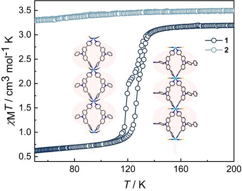 Construction of Spin Crossover-Fluorescent Bifunctional Cyclic Chain-Like Fe(II) Compounds from Carbazole Ligands