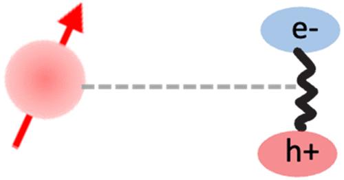 Important Elements of Spin-Exciton and Magnon-Exciton Coupling