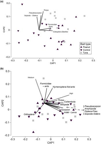 Do different camera trap lures result in different detection rates of vertebrates because of their attractiveness to invertebrates?