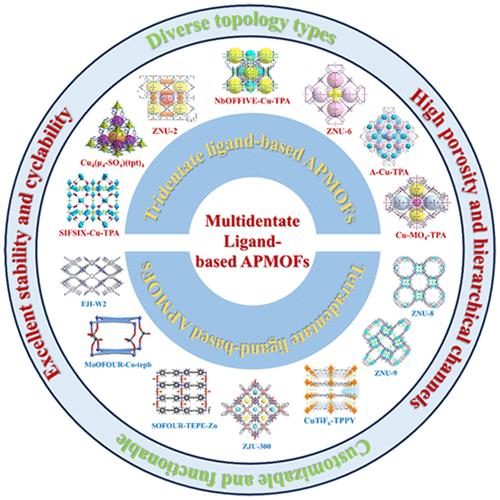 Recent Advances of Multidentate Ligand-Based Anion-Pillared MOFs for Enhanced Separation and Purification Processes