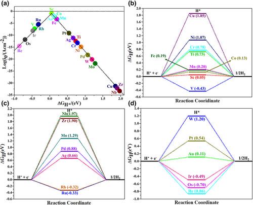 Improving the Efficiency of Water Splitting and Oxygen Reduction Via Single-Atom Anchoring on Graphyne Support