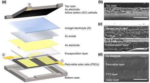 Highly Integrated Perovskite Solar Cells-Based Photorechargeable System with Excellent Photoelectric Conversion and Energy Storage Ability