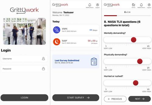 The development and pilot of a novel mobile application to assess clinician perception of workload and work environment