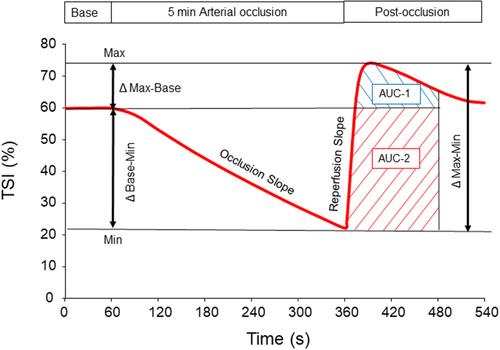 Reproducibility and sex differences in muscle oxygenation during brachial artery occlusion in healthy participants