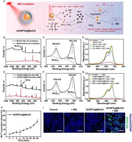 Development of Manganese Carbonyl Loaded Upconversion Nanoparticles for Near-Infrared-Triggered Carbon Monoxide and Mn2+ Delivery