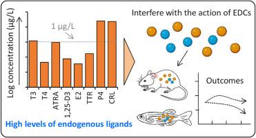 Endogenous hormones matters in evaluation of endocrine disruptive effects mediated by nuclear receptors