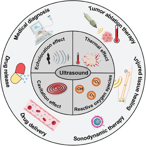 Effects of Ultrasound for Bio-Applications