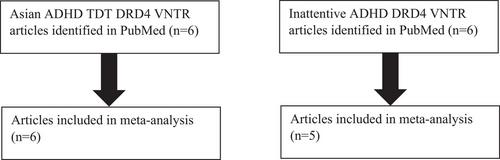 Attention-deficit/hyperactivity disorder and dopamine receptor D4 (DRD4) exon 3 variable number of tandem repeats (VNTR) 2-repeat allele